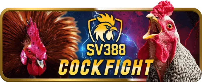 Cá cược bóng đá vin33 win